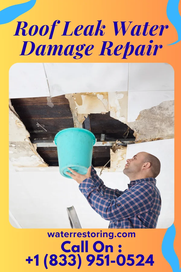 Roof Leak Water Damage Repair in State Center, IA