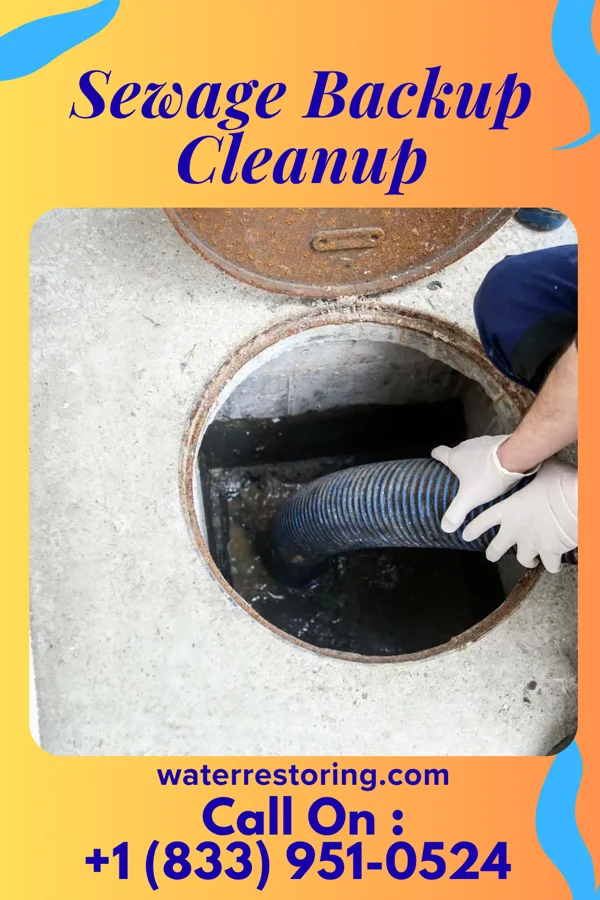 Sewage Backup Cleanup in State Center, IA