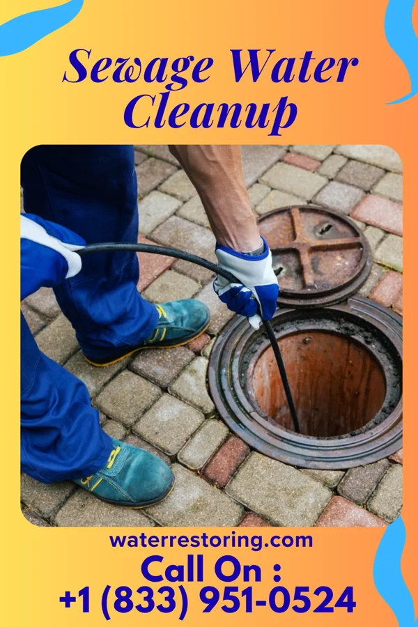 Sewage Water Cleanup in State Center, IA